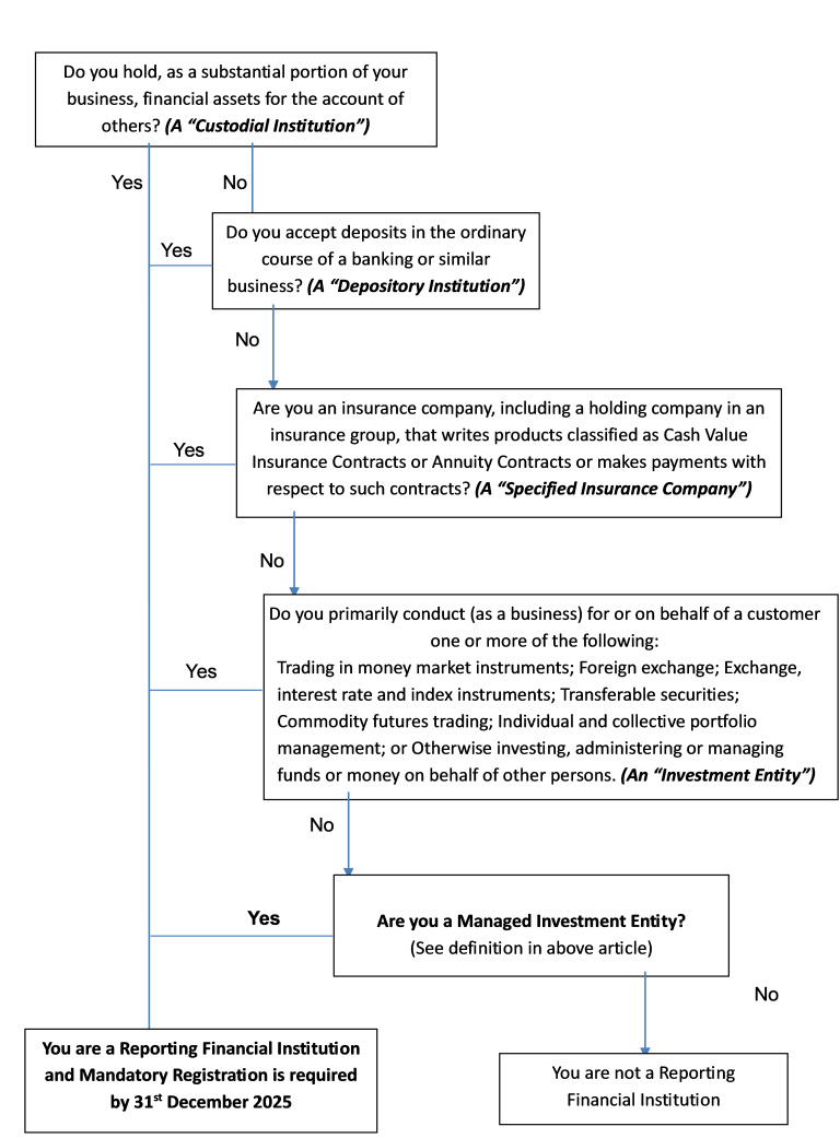 Registration Requirement under the Common Reporting Standard (CRS ...